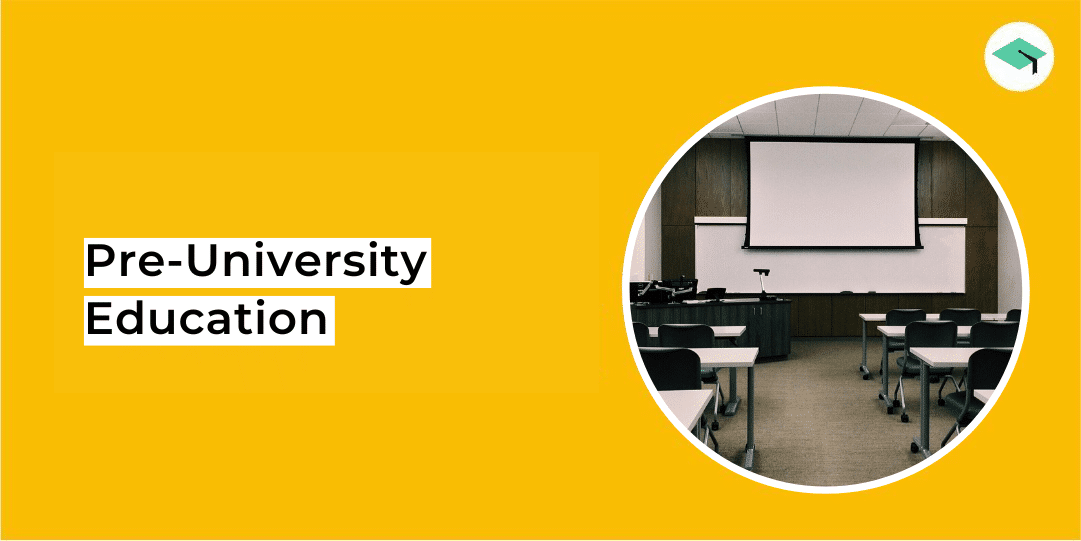 What is pre-university education in India?