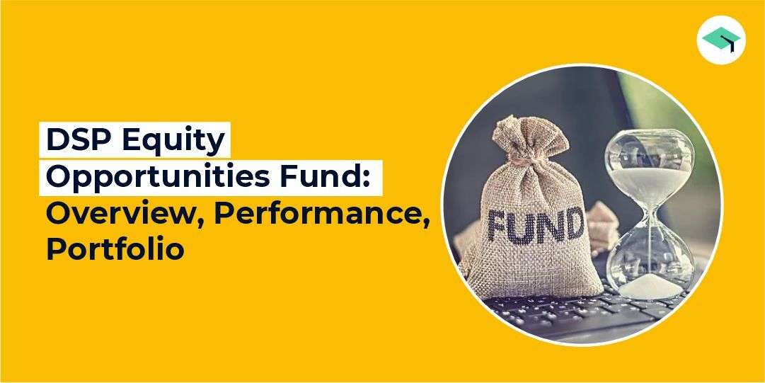 DSP Equity Opportunities Fund. Who should invest?