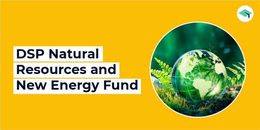 DSP Natural Resources and New Energy Fund