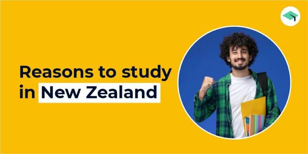 Reasons to study in New Zealand