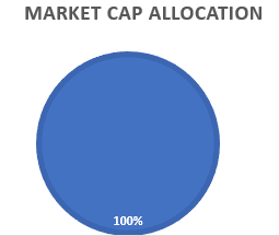 market cap allocation quantum gold fund